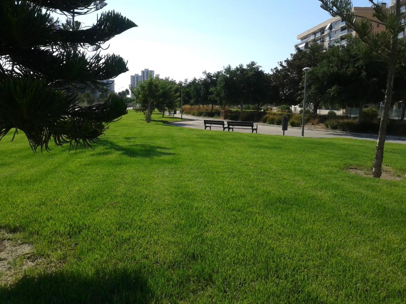 Loft San Juan Beach Alicante Rom bilde